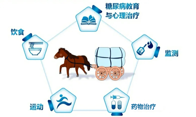 治疗糖尿病的五驾马车